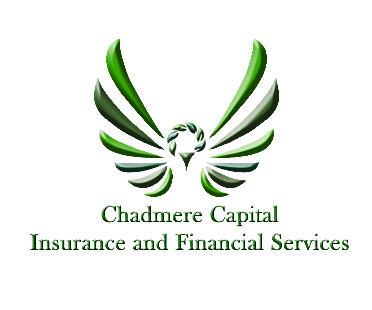Logo Design by E.Dorranipour for this project | Design #10520392