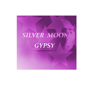 Logo Design by LavishDesigns