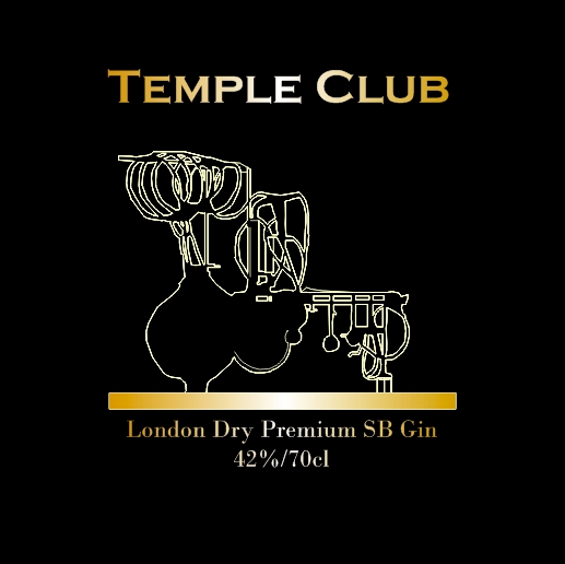 Logo Design by alina v for this project | Design #10542564