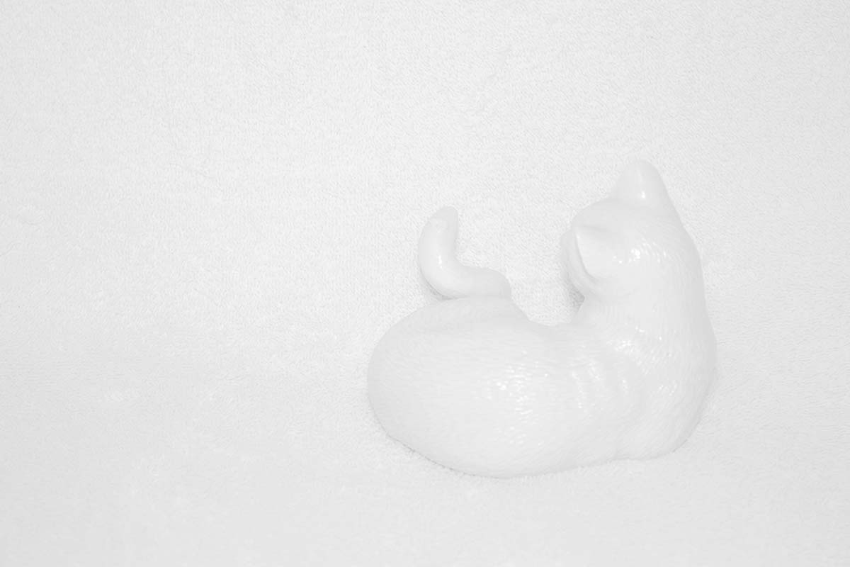 Photography by mmason0649 for DesignCrowd (Community Contests) | Design #10502957