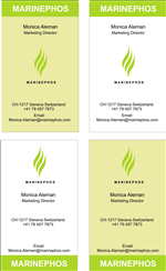 Business Card Design by Gayathri Graphics for this project | Design: #19927