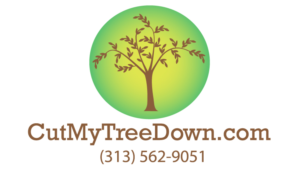 Logo Design by wmcool