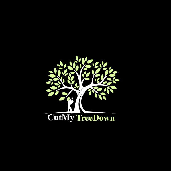 Design de Logo par Himanshi10 pour ce projet | Design #10455828