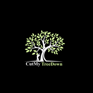 Logo Design by Himanshi10 for this project | Design #10455828