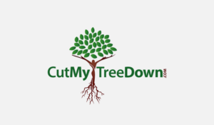 Logo Design by shazia7779