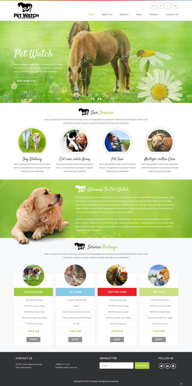 Diseño Web por pb para este proyecto | Diseño #10462952