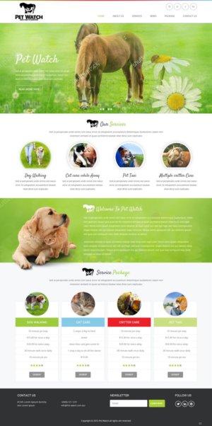 Diseño Web por pb para este proyecto | Diseño: #10462952