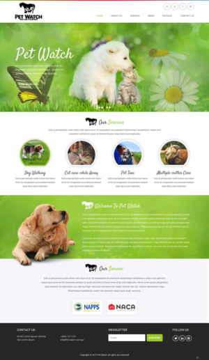 Diseño Web por pb para este proyecto | Diseño: #10486474
