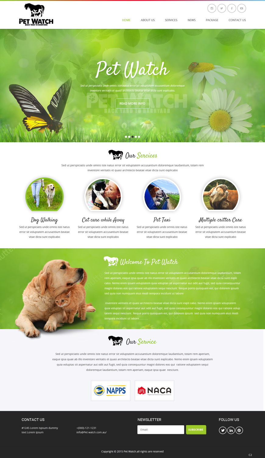 Diseño Web por pb para este proyecto | Diseño #10486475