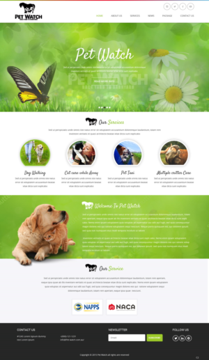 Diseño Web por pb para este proyecto | Diseño: #10486475