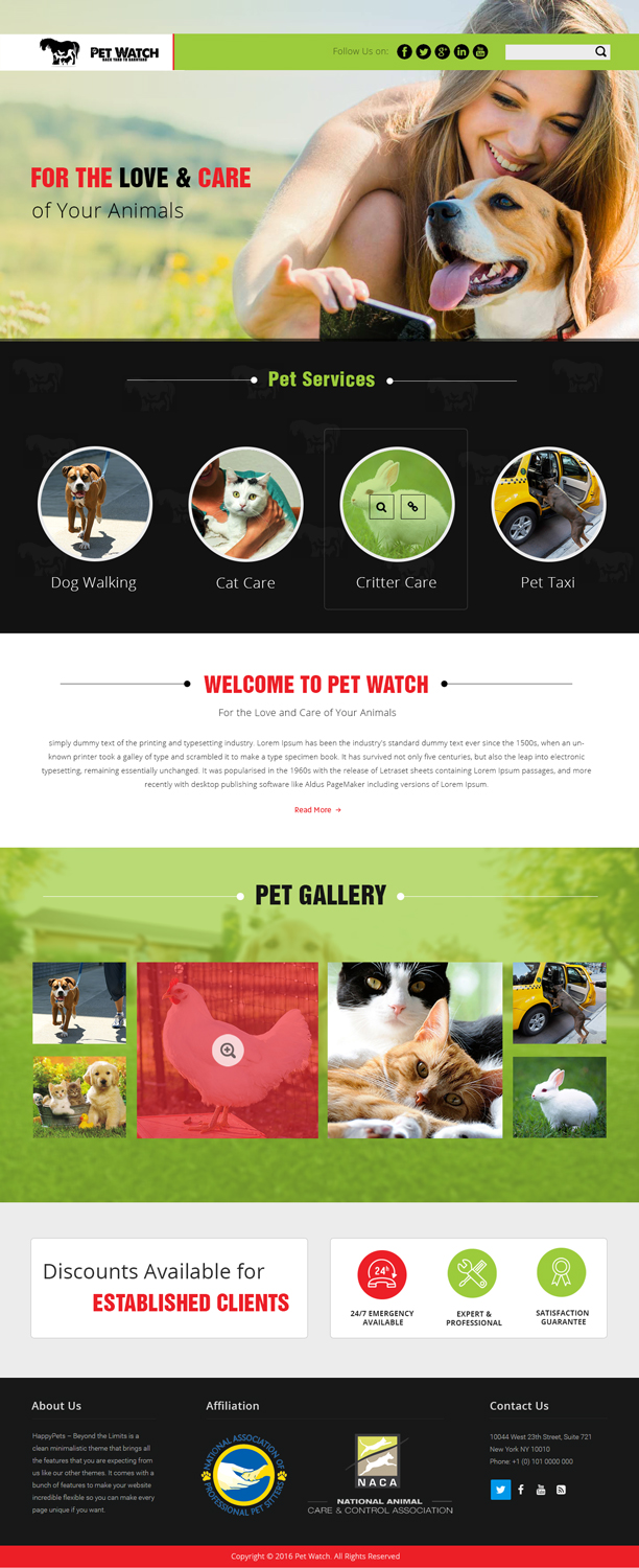 Web Design by Xclusive Designers for this project | Design #10526045