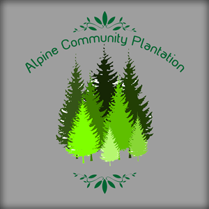 Logo Design by AusVic Des