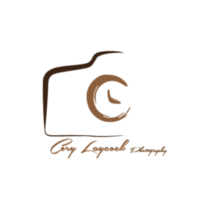 Logo Design by Hardy
