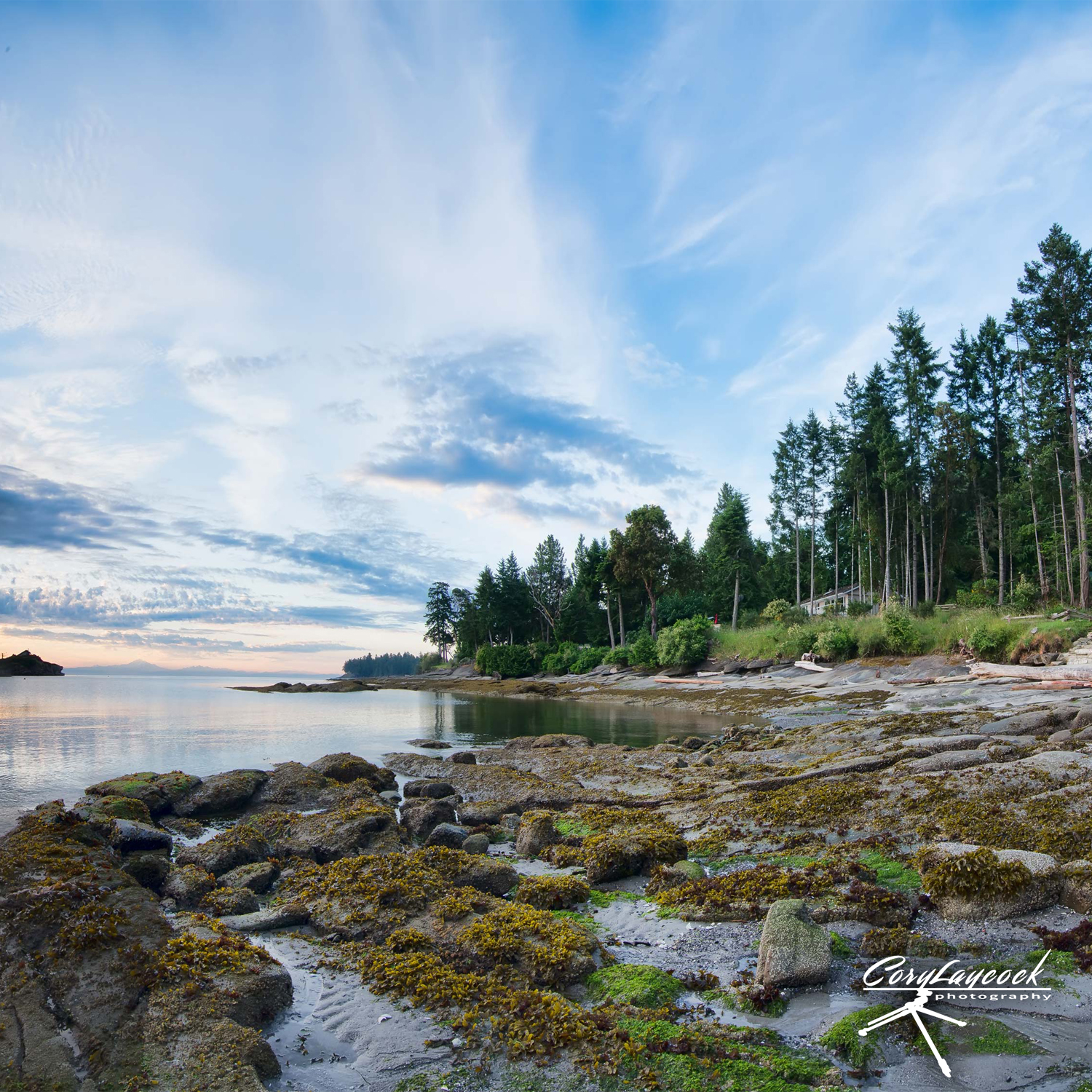 Logo-Design von Light Hand Design für dieses Projekt | Design #10525214