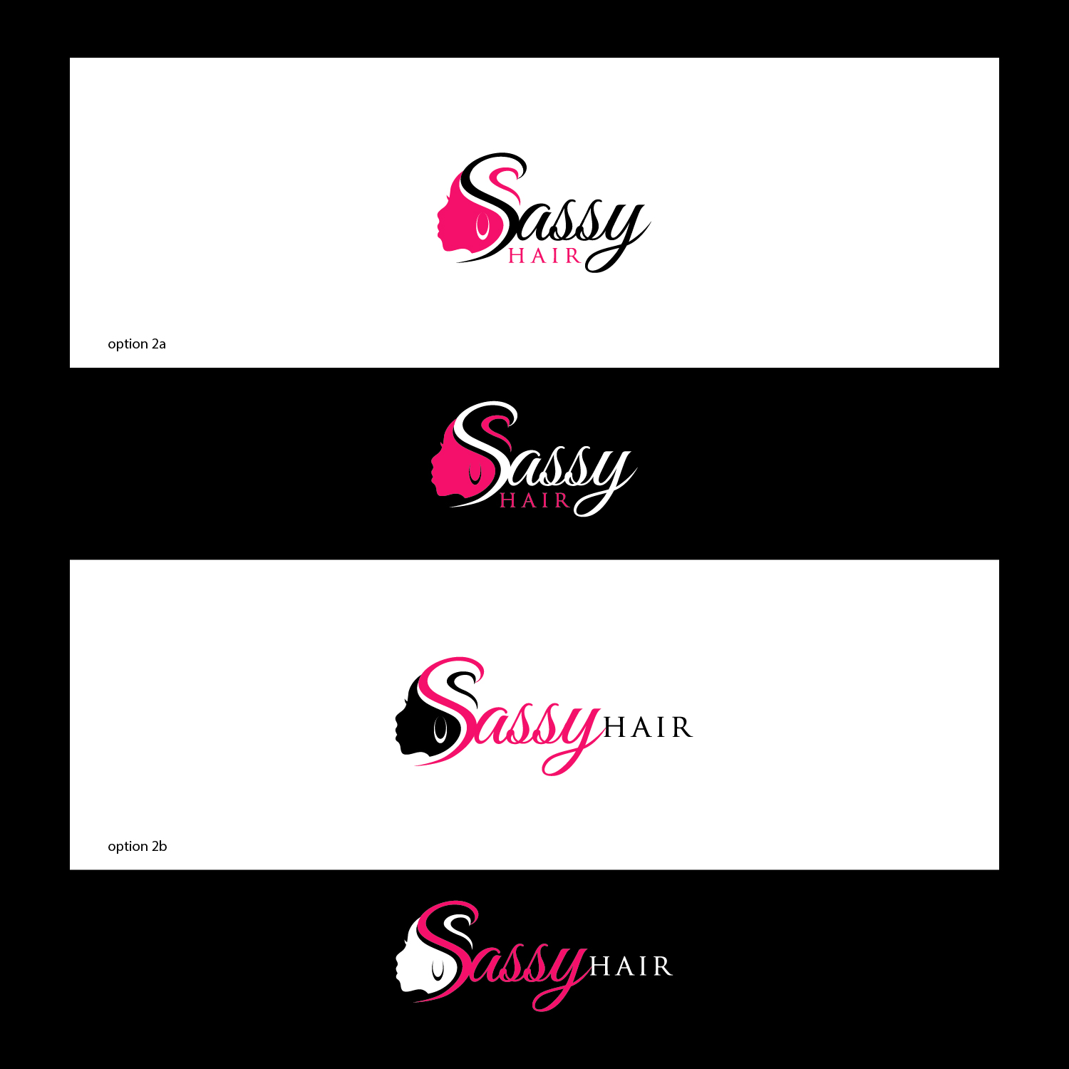 Logo Design by Logo Spider for Sassy Hair by TS INC | Design #10561666