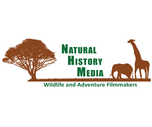 Logo Design by AG Design and Communication