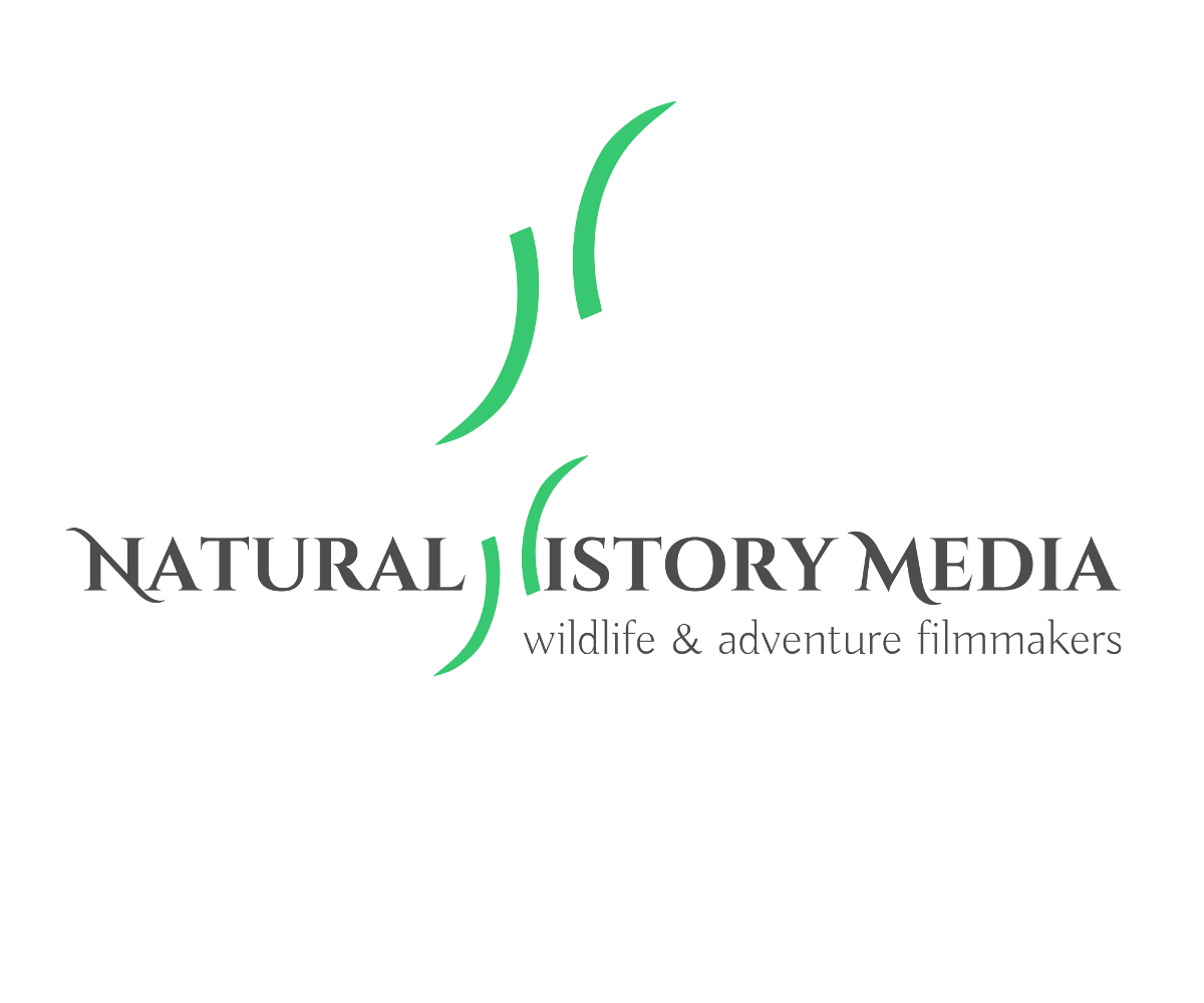 Logo Design by shetur for Natural History Media | Design #2233183