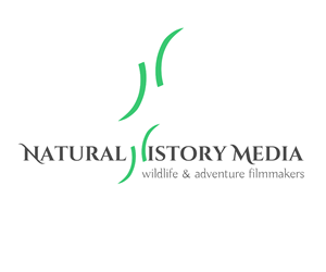 Logo Design by shetur for Natural History Media | Design: #2233183