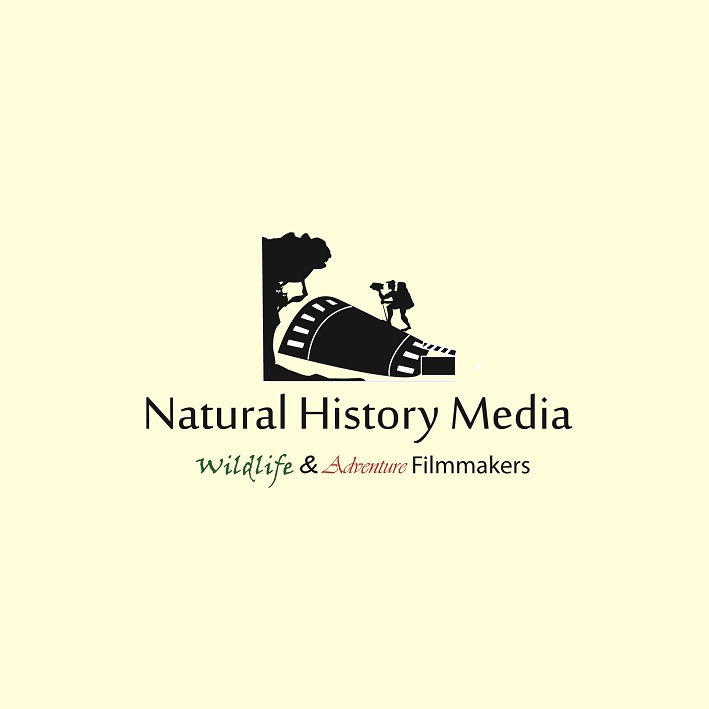 Logo Design by Toshiaki for Natural History Media | Design #3039236