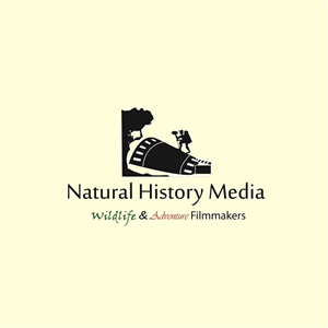 Logo Design by Toshiaki