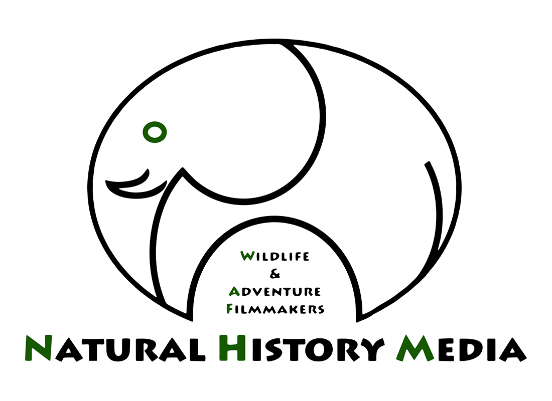 Logo Design by bobe94 for Natural History Media | Design #2841997