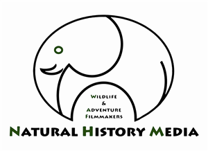 Logo Design by bobe94