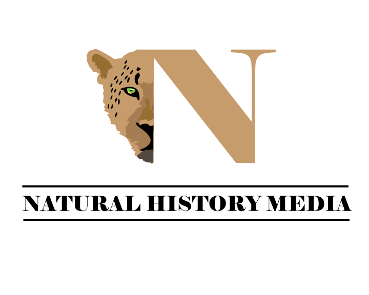 Logo Design by nwashington for Natural History Media | Design #2996823