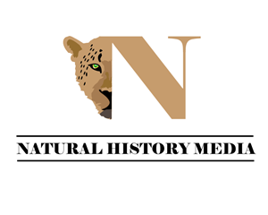 Logo Design by nwashington