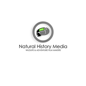 Logo Design by Patrick Davidson