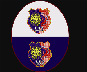Logo Design by Crazy Arts & DeSign