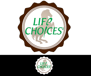 Logo Design by Lily