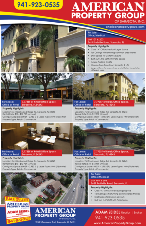 Print Advertisement - Commercial Real Estate - Professional  | Diseño de Flyer por Akshar Shailesh