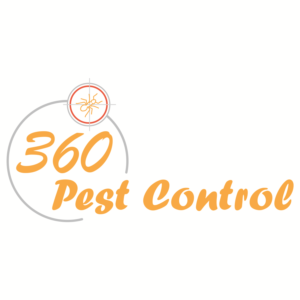 Logo Design by icessss