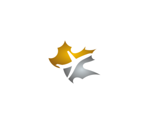 Design de Logo par design.bb pour AeroCanada | Design : #10566878