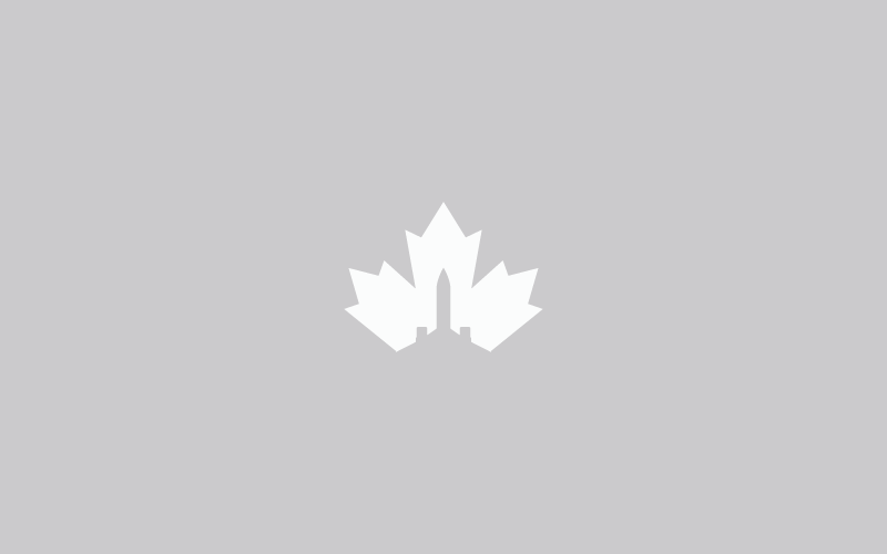 Logo Design by Vortex for AeroCanada | Design #10501049