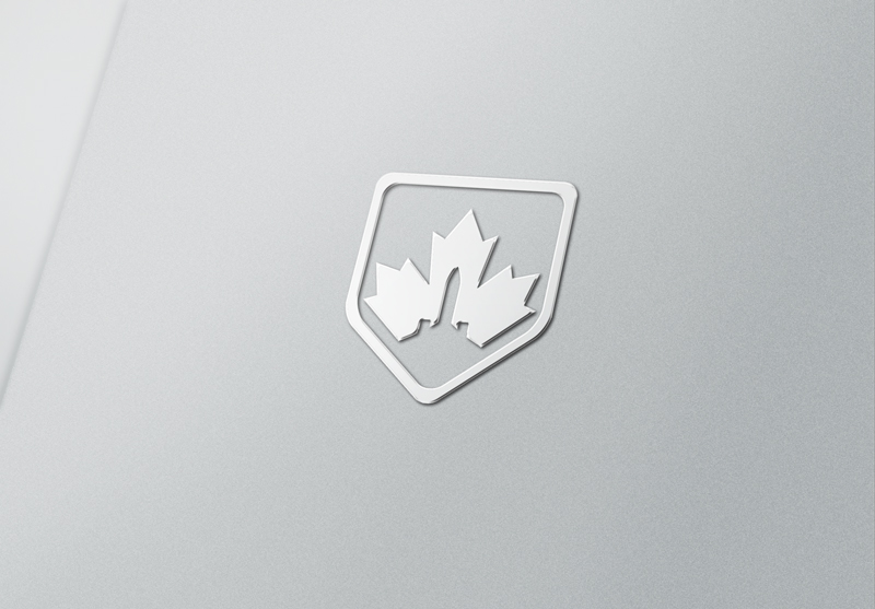 Logo Design by Vortex for AeroCanada | Design #10502772