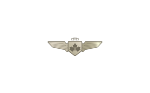 Logo Design by Vortex for AeroCanada | Design: #10508125