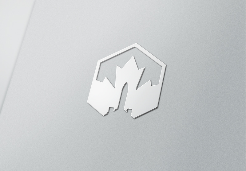 Logo Design by Vortex for AeroCanada | Design #10543383