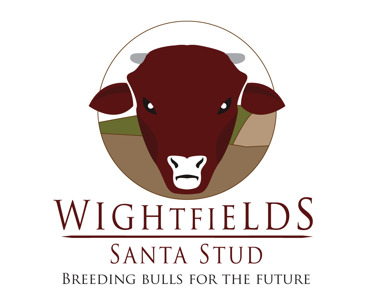 Logo Design by cdxboy for this project | Design #2265909
