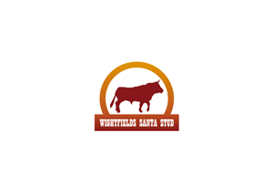 Logo-Design von Natasa für dieses Projekt | Design #2289026