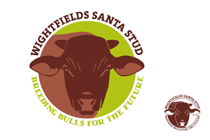 Logo Design by hoch2wo for this project | Design: #2260153