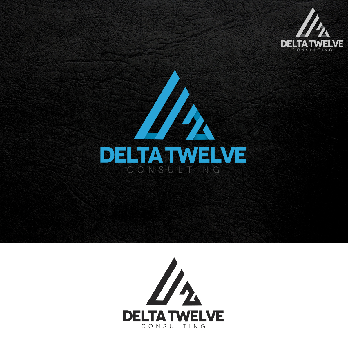 Logo Design by PC PRODUCTIONS for Delta Twelve | Design #10584380