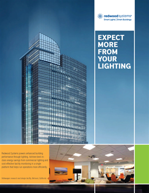 Brochure Design by Biswajit