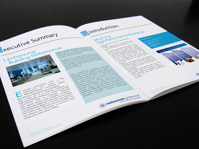 Brochure Design by Soluciones Creativas for this project | Design #469492