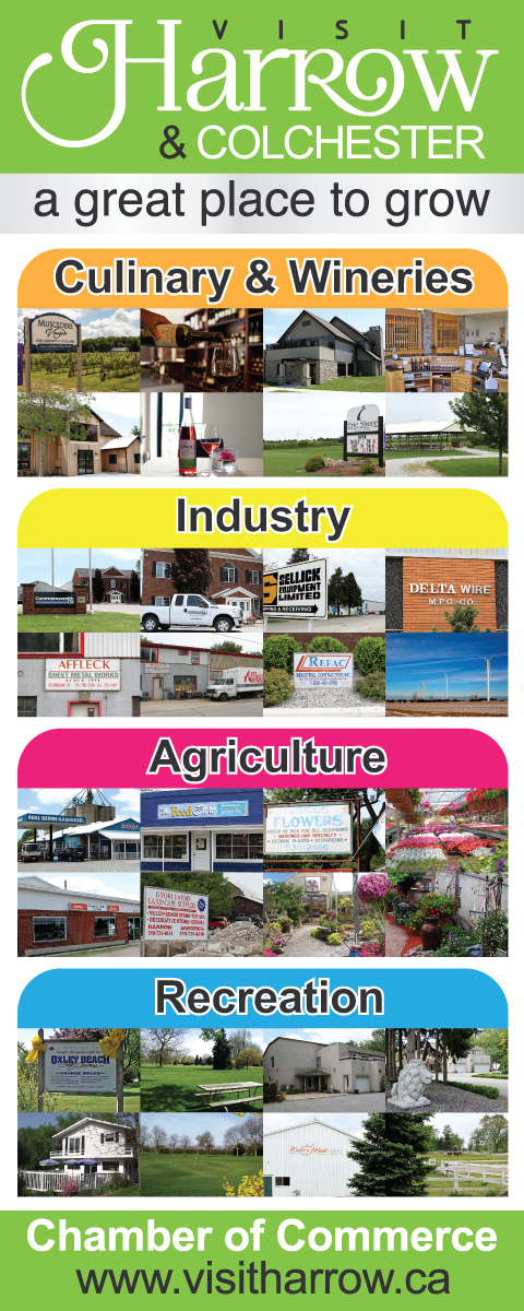 Signage Design by Young Creations for Harrow & Colchester Chamber of Commerce | Design #10545192