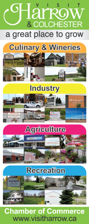 Signage Design by Young Creations for Harrow & Colchester Chamber of Commerce | Design: #10545192