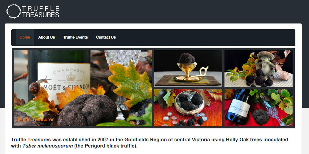 Design de Logo par danneacsu pour ce projet | Design #10501282