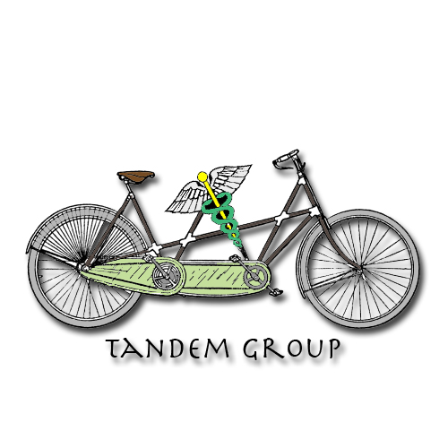 Design de Logo par Brenyo pour Tandem Group | Design #2206622