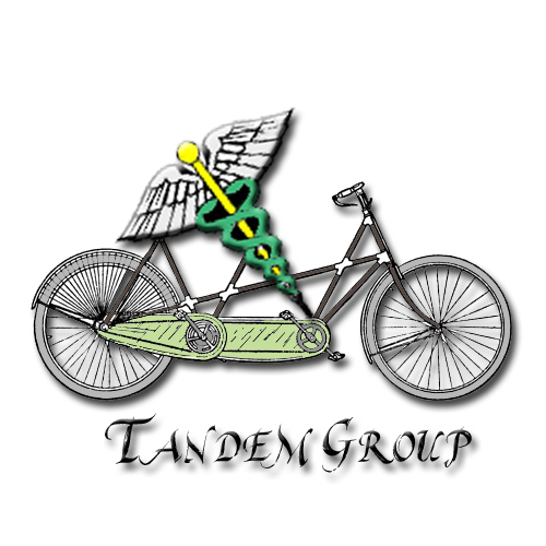 Logo-Design von Brenyo für Tandem Group | Design #2208470