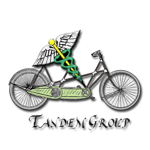 Logo Design by Brenyo for Tandem Group | Design: #2208470